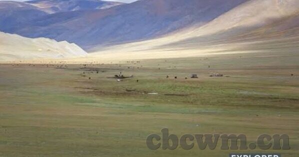 91人妻色-91人妻色，文化、伦理与个人选择的交织