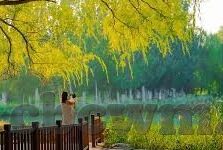 国内精品一区二区-国内精品一区二区，文化与艺术的璀璨明珠