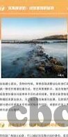 精品人妻少妇一区二区三区在线-品味生活，探索网络世界的微妙角落