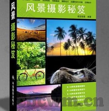 久久久精品国产亚洲av麻豆-探索文化多样性的边界，对网络内容的理性思考