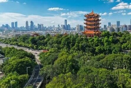 麻豆传媒毛片-不谈色情，直面网络挑战，论网络资源的合法获取与媒介素养的重要