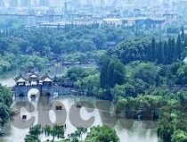 糖心app官网入口ios-堕落边缘的光影，探寻糖心 app 数字化世界的迷雾